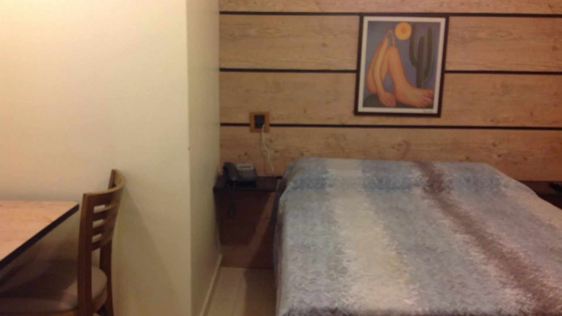 Hotel America Do Sul São Paulo 3*,  Brésil